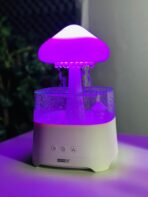 Rain Cloud Humidifier