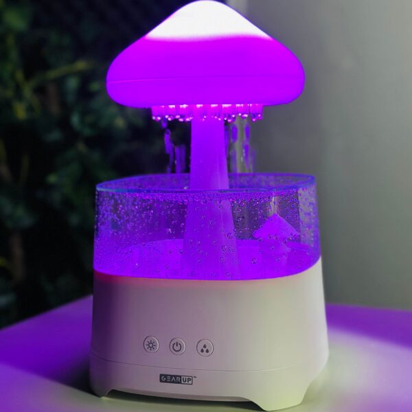 Rain Cloud Humidifier