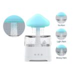 Rain Cloud Humidifier