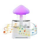 Rain Cloud Humidifier